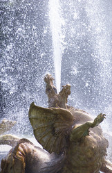 Similar image 8039296