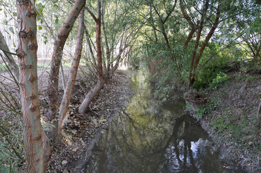 Similar image 8039304