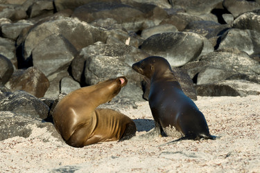 Similar image 8039320