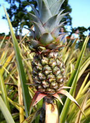 Similar image 8039327