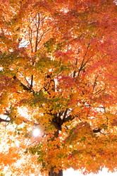 Similar image 8039329