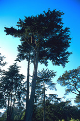 Similar image 8039332