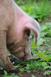 Similar image 8039336