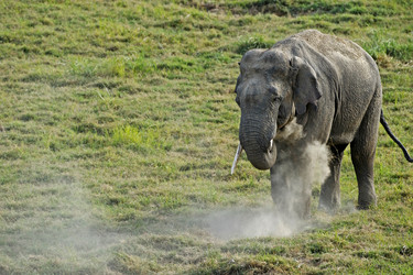 Similar image 8039342