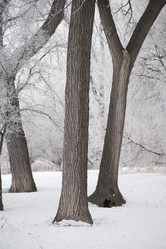 Similar image 8039363