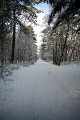 Similar image 8039376