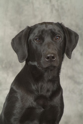 Similar image 8039379