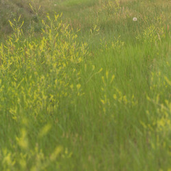 Similar image 8039380