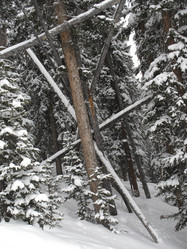 Similar image 8039384