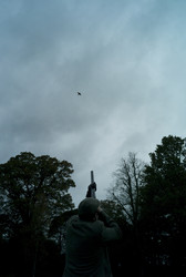 Similar image 8039387