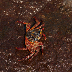 Similar image 8039388