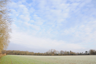 Similar image 8039394