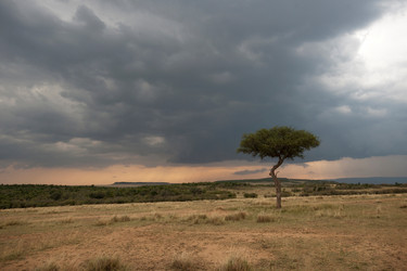 Similar image 8039398