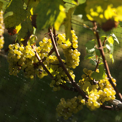 Similar image 8039403