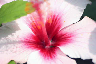 Similar image 8039405