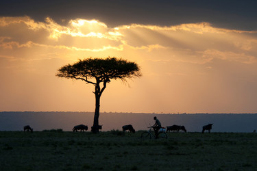 Similar image 8039413