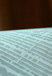 Similar image 8039414