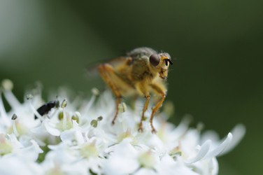 Similar image 8039419