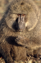 Similar image 8039424