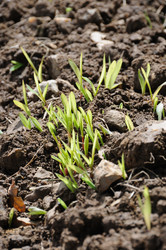 Similar image 8039425