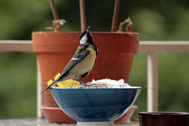 Similar image 8039428