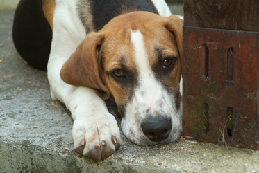 Similar image 8039436