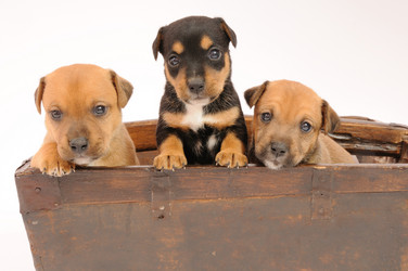 Similar image 8039437