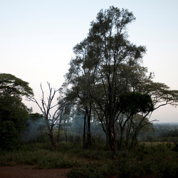 Similar image 8039438