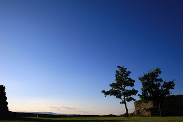 Similar image 8039441