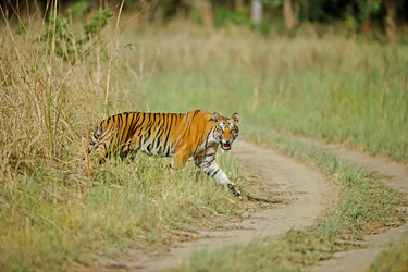 Similar image 8039442