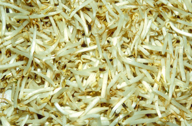 Similar image 8039454