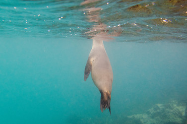 Similar image 8039455