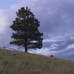 Similar image 8039464