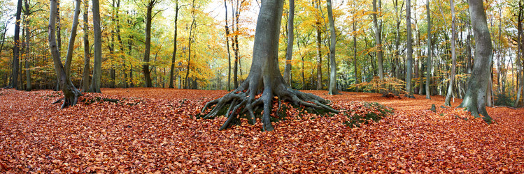 Similar image 8039469