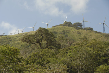 Similar image 8039475