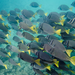 Similar image 8039477