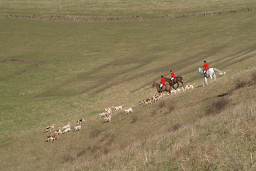 Similar image 8039478