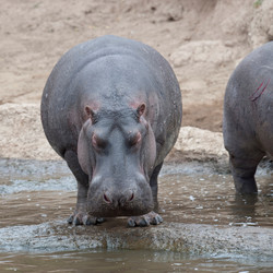 Similar image 8039481