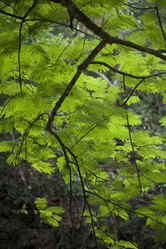 Similar image 8039487