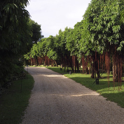 Similar image 8039493