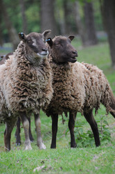 Similar image 8039499