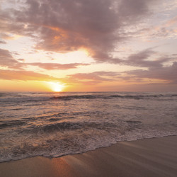 Similar image 8039500