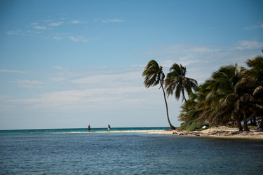 Similar image 8039504