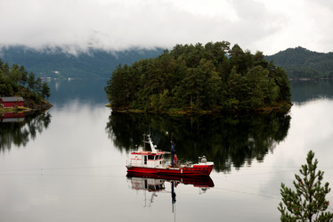 Similar image 8039507