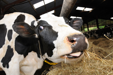 Similar image 8039509