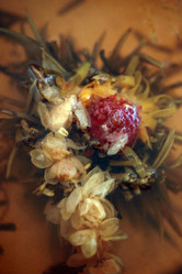 Similar image 8039511