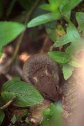 Similar image 8039513