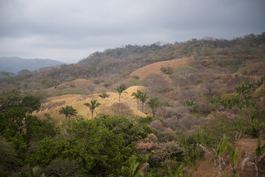 Similar image 8039527