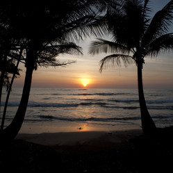 Similar image 8039535