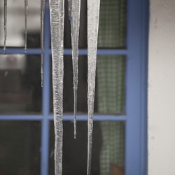 Similar image 8039539